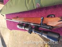 Rhenus .22lr