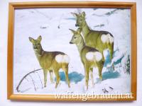 Bild, Fotodruck, 26 x 20 cm