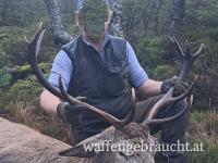 Hirschjagd in Norwegen