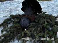 Jagd auf Auerhahn