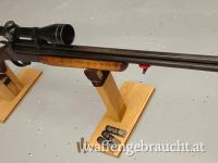 BBF SAVAGE 22.Mag 20/70  Zfr 6x40