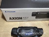 Pulsar Axion 