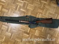 Winchester 94AE