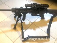 Gelegenheit: Hochwertiges Selbstladegewehr Oberland Arms OA 15 M4 Kaliber .223 in Vollausstattung - neuwertig