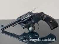 Colt Pocket Positive