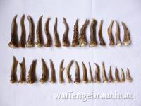 30 Rehkrickerl, 5.5 - 14 cm