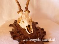 Nr. 8: Rehtrophäe auf handgeschnitztem Schild