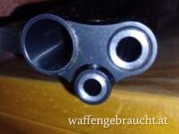 BD 14 Blaser Triumphbock (Drilling)