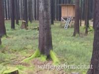 Jagdbeteiligung in Tschechien