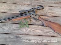 BBF SAVAGE 22.Mag 20/70  Zfr 6x40