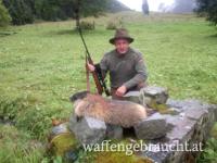 Murmeltierjagd 4 Abschüsse