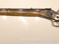 Pedersoli Rolling Block in .45-70