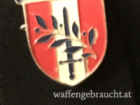 Abzeichen US Force Austria 1945-1955 