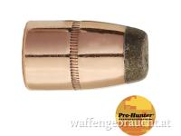 Sierra Geschosse 300grain .458