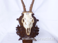 Nr. 2: Rehtrophäe auf  handgeschnitztem Schild