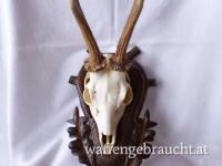 Nr. 3: Rehtrophäe auf handgeschnitztem Schild