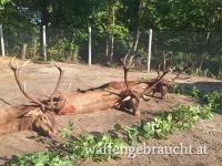 Abschusspakete in Zalakaros 