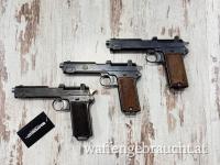 Steyr Muster 12 verschiedene Ausführungen