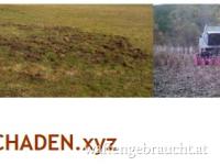 Unterstützung bei jagdlichen/forstlichen Behörden- und Gerichtsverfahren