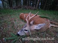 Tauschangebot / reifer Rehbock für Rot/Gams/Schwarzwild Abschuss