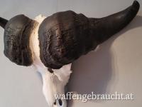 Old Dagga Boy aus Süd Tanzania