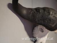 Old Dagga Boy aus Süd Tanzania