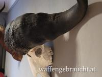 Old Dagga Boy aus Süd Tanzania