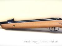 Gamo Big Cat Hunter, Luftgewehr