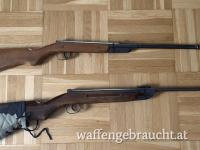 Diana Luftdruckgewehre Paket (Modell 25 & 16)