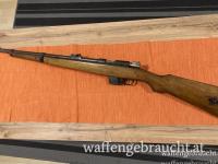 Bergmann Destroyer 9mm Bergmann