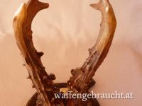 Nr. 9: Rehtrophäe auf handgeschnitztem Schild