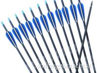 💥 24 Stk Carbonpfeile 31 Zoll 7,6 mm Schaft, Spine 500 💥
