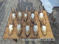 Reh-Krickerl auf Brett