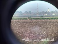 Rehbockjagd 350-500 gr in Ungarn