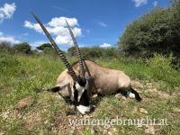 Namibia - Jagdreise für anspruchsvolle Jäger