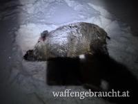 Abschussparket Kroatien 