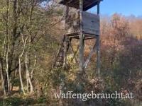 Jagdrevier Abschusspakete zu vergeben