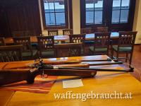 Kleinkalibergewehr