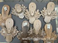25 Rehbock  Trophäenbretter 