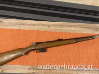 Bergmann Destroyer 9mm Bergmann