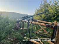 Steyr Mannlicher SM 12 30.06