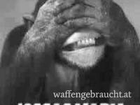 Fiocchi .223 Remington - 1000 Schuss - FMJ