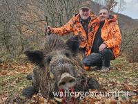 Türkei Anatolien Schwarzwild Treibjagd Pauschale!!! Kapitale Keiler frei!