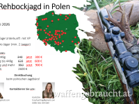 Sonderangebot Rehboeckjagd POLEN Mai 2026