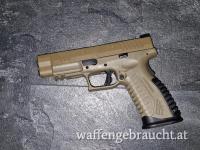 HS SF19