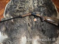 Blaser K95 