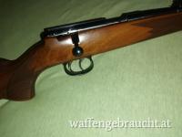 Kleinkaliber Gewehr