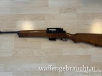 Ruger Mini 223