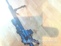 Selbstladegewehr