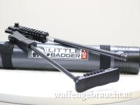 💥 CHIAPPA LITTLE BADGER TDX XTREME GMG 16,5" – .22 LR  💥